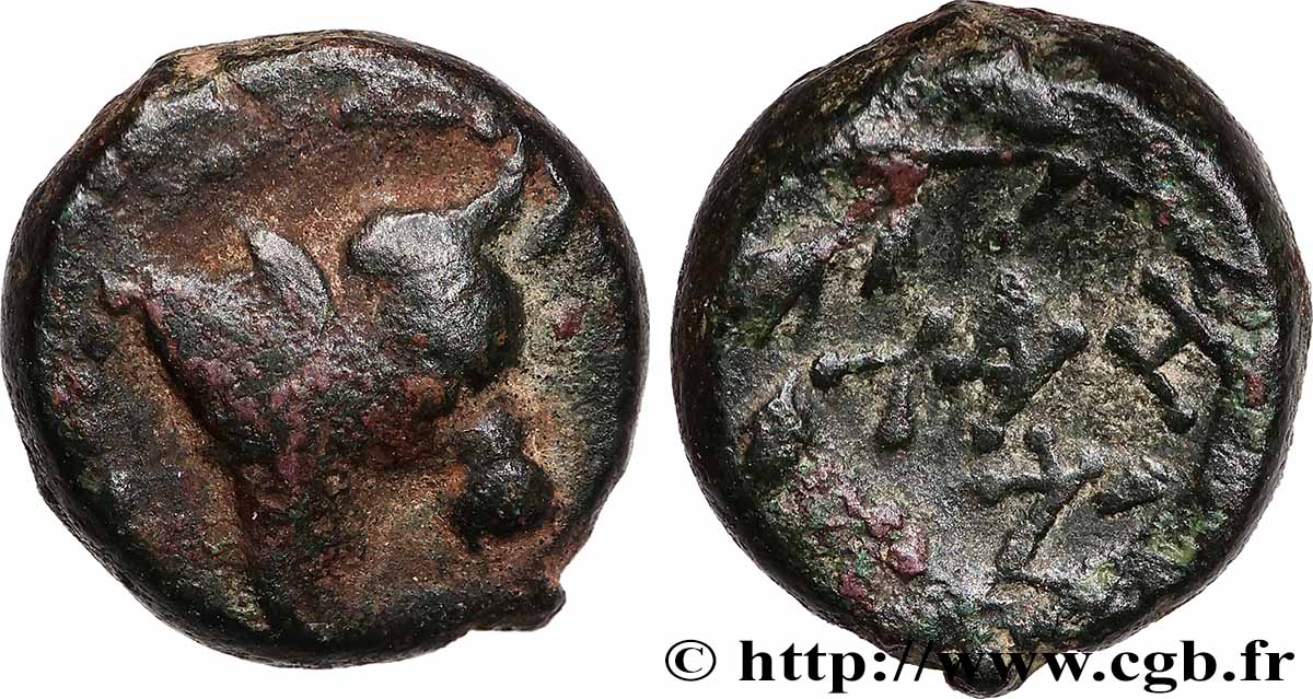 MISIA - CIZICA Unité q.BB