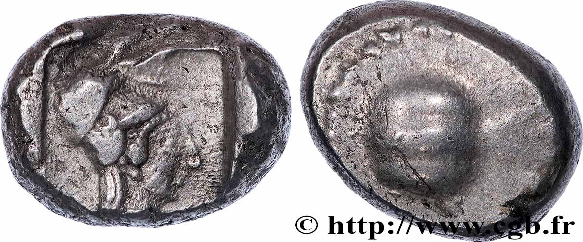 PAMFILIA - SIDE Statère BC+