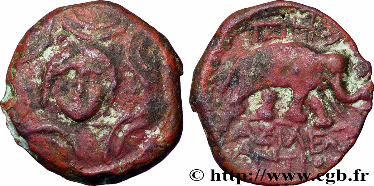 SYRIE - ROYAUME SÉLEUCIDE - ANTIOCHUS III LE GRAND  Unité TB