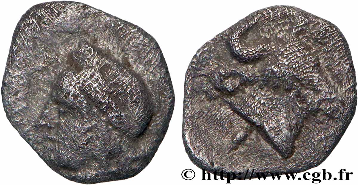 MYSIE - CYZIQUE Hemiobole TTB