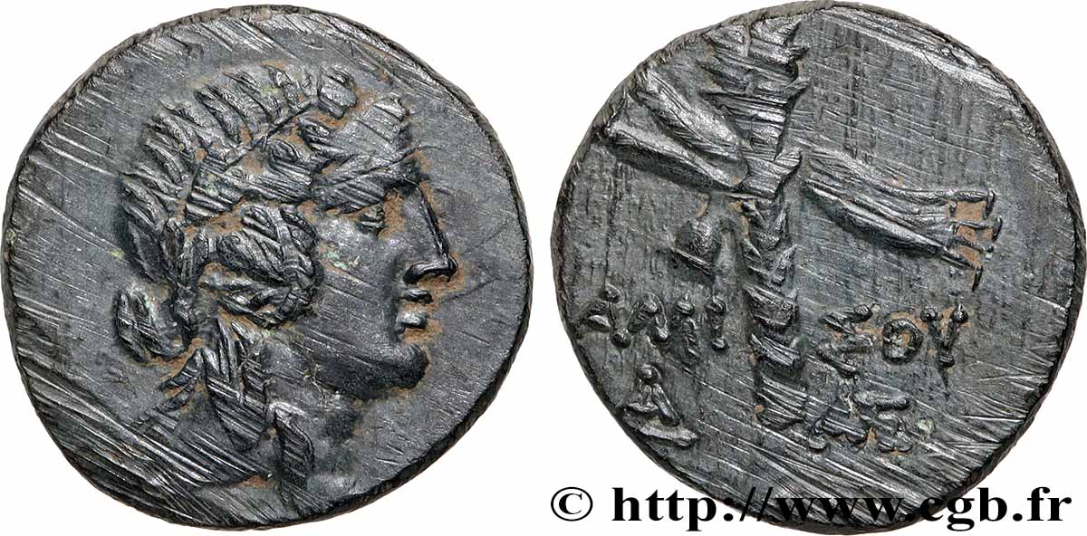 PONT - AMISOS Unité TTB