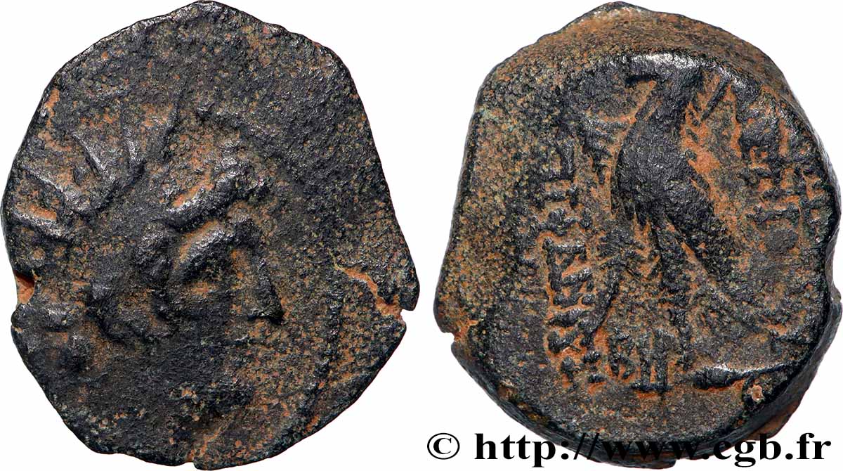 SYRIA - SELEUKID KINGDOM - ANTIOCHUS VIII GRYPUS Unité VF