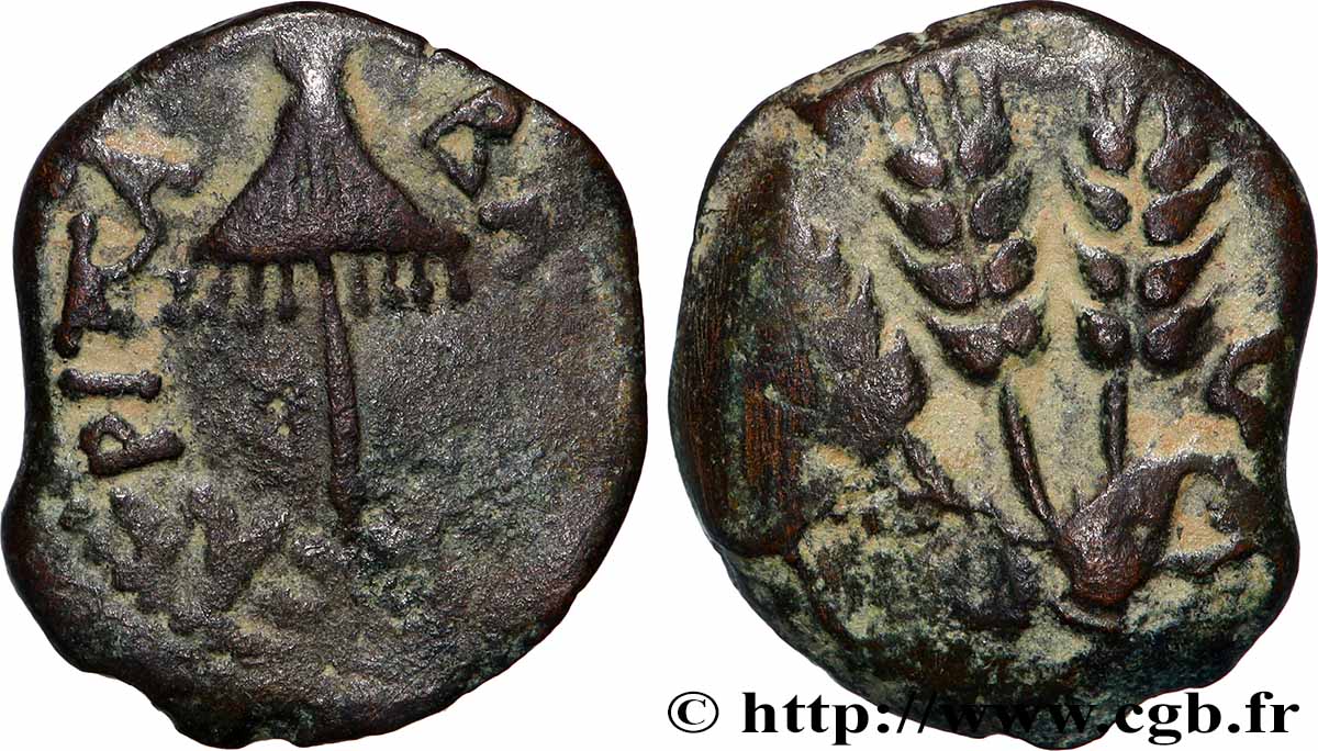 GIUDAE - REGNO DE HERODIUS - AGRIPPA IAgriip Prutah BB
