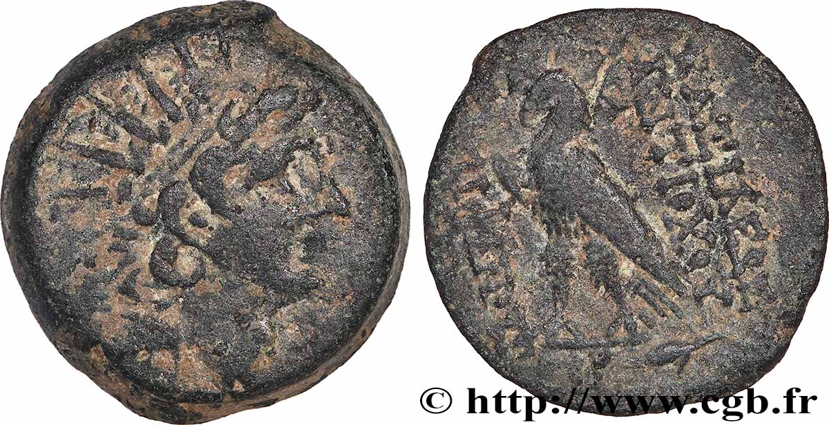SYRIE - ROYAUME SÉLEUCIDE - ANTIOCHUS VIII GRYPUS Unité TTB