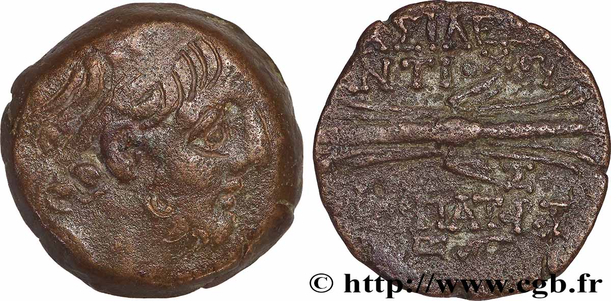 SYRIE - ROYAUME SÉLEUCIDE - ANTIOCHUS VIII GRYPUS Unité TB+