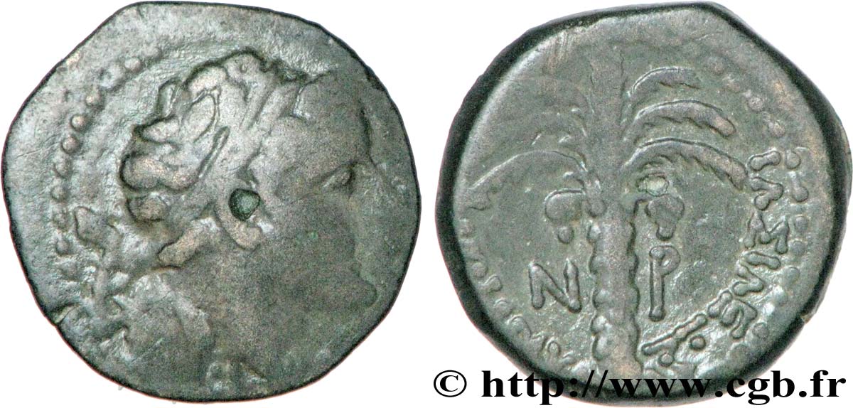 SYRIE - ROYAUME SÉLEUCIDE - ANTIOCHUS V EUPATOR Hemichalque TTB