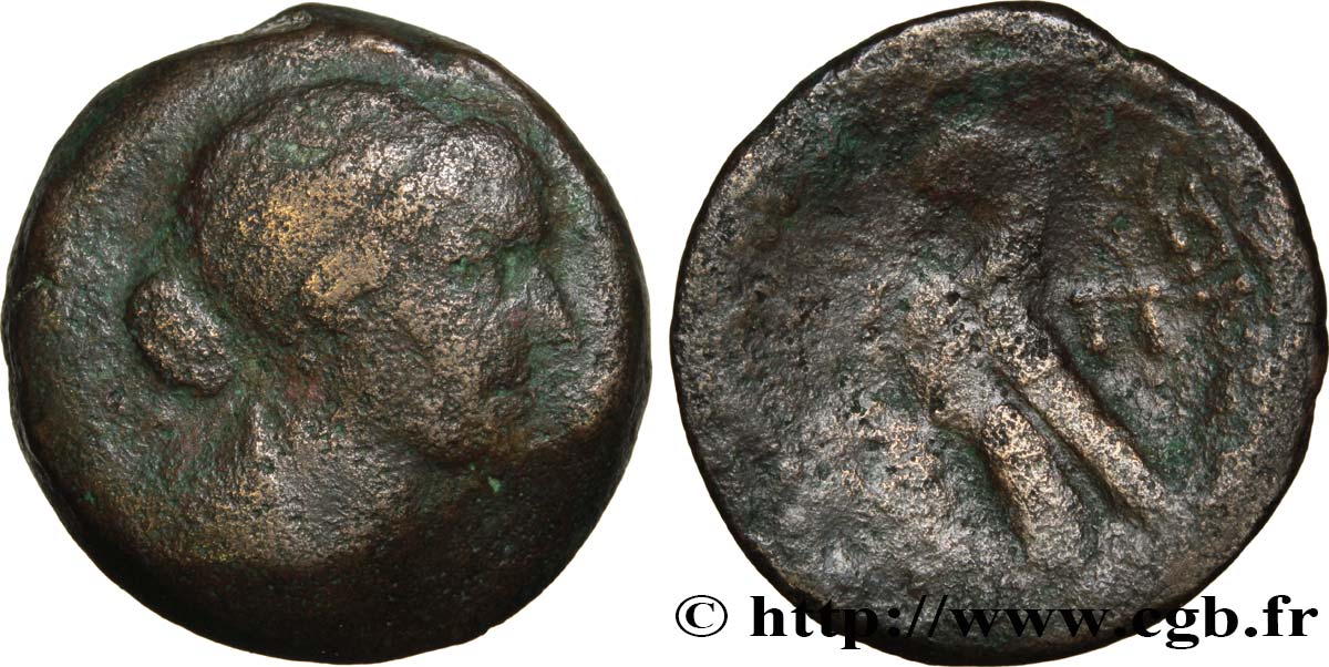 LAGID KINGDOM - CLEOPATRA VII AND PTOLEMY XIII Quatre-vingts drachmes VF