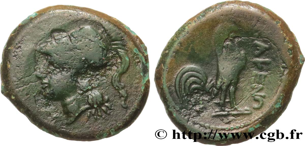 CAMPANIA - CALES unité q.BB