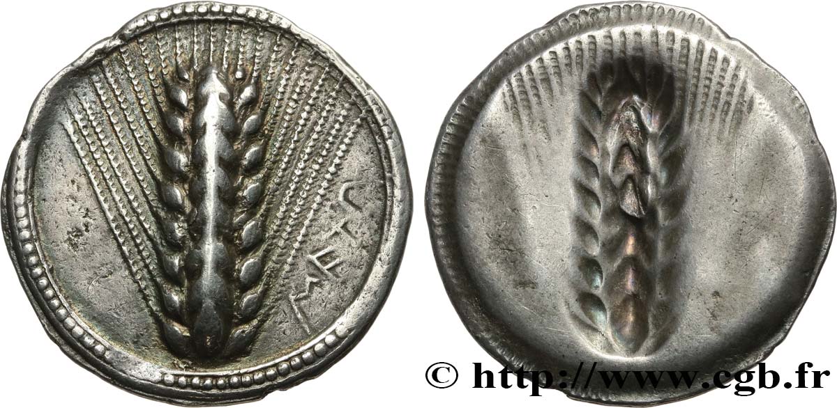 LUCANIA - METAPONTUM Nomos, statère ou tridrachme q.SPL