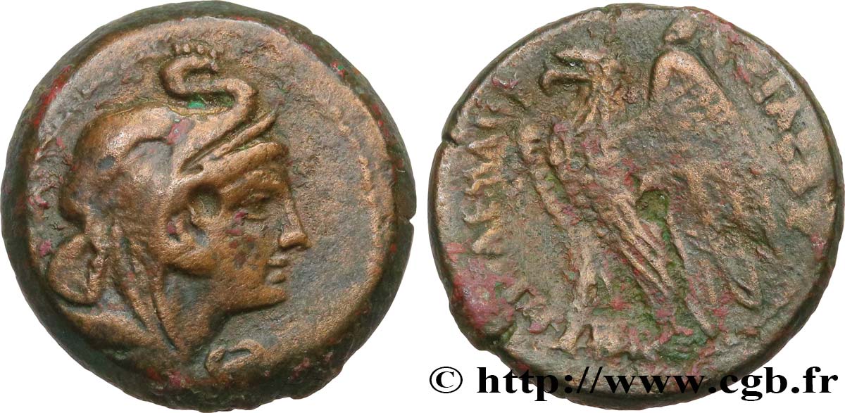 ÉGYPTE - ROYAUME LAGIDE - PTOLÉMÉE VIII ÉVERGÈTE II Dichalque TTB/TB+