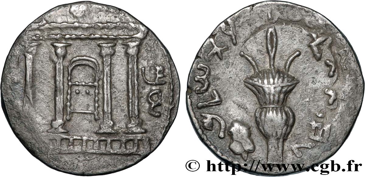 JUDAEA - SECOND REVOLT - BAR KOKHBA Tétradrachme (sela) AU