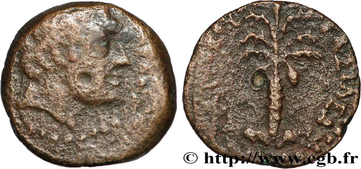 SYRIA - SELEUKID KINGDOM - ANTIOCHUS III THE GREAT Hemichalque VF/XF