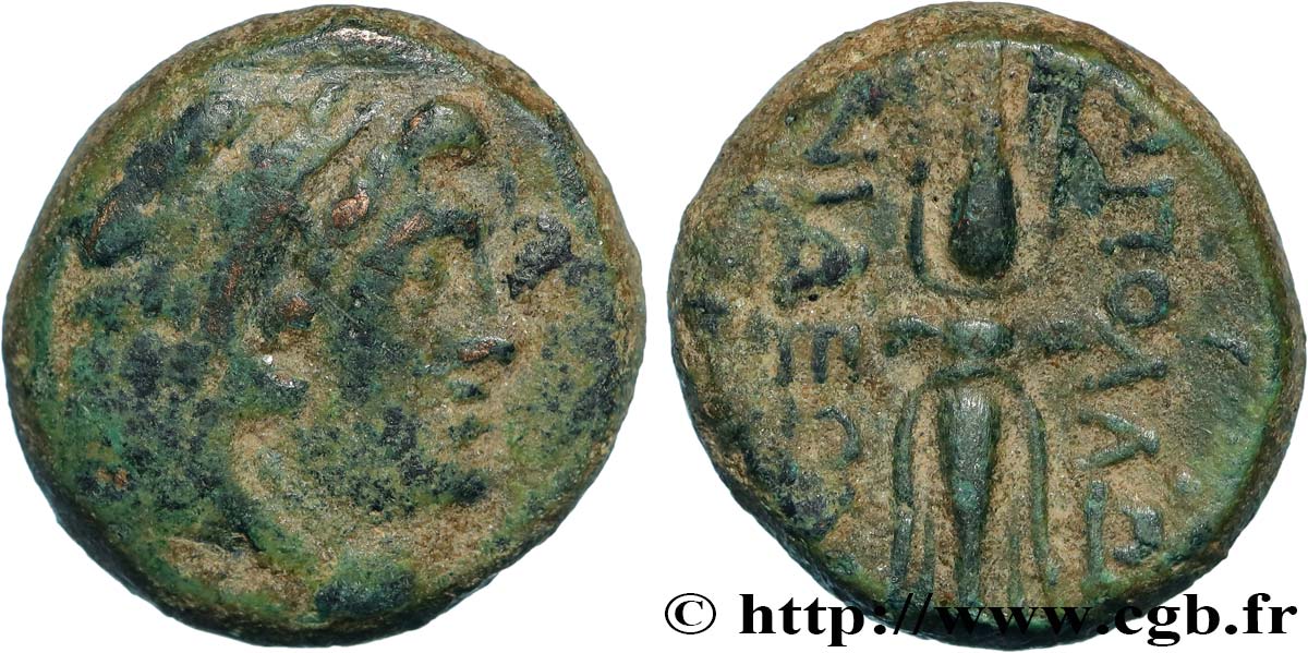 LYDIA - APOLLONIS Demi-unité XF