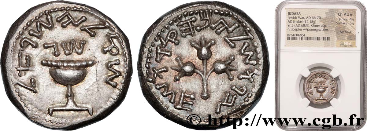 JUDAEA - FIRST REVOLT Shekel AU