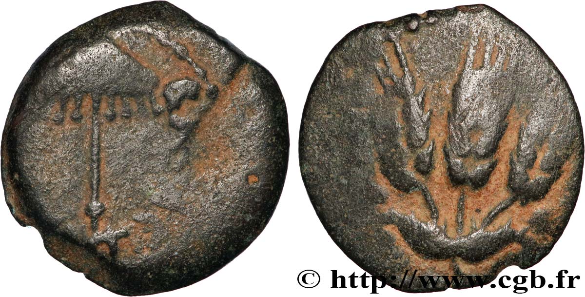 JUDAEA - HERODIAN KINGDOM - AGRIPPA I Prutah VF