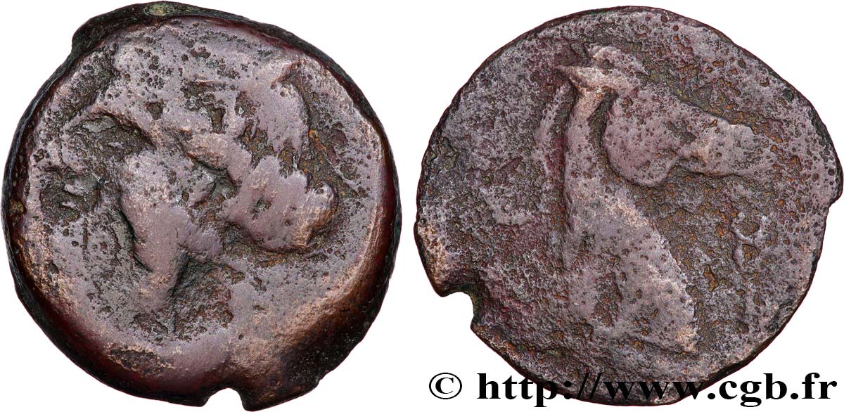 ZEUGITANA - CARTHAGE Shekel VF