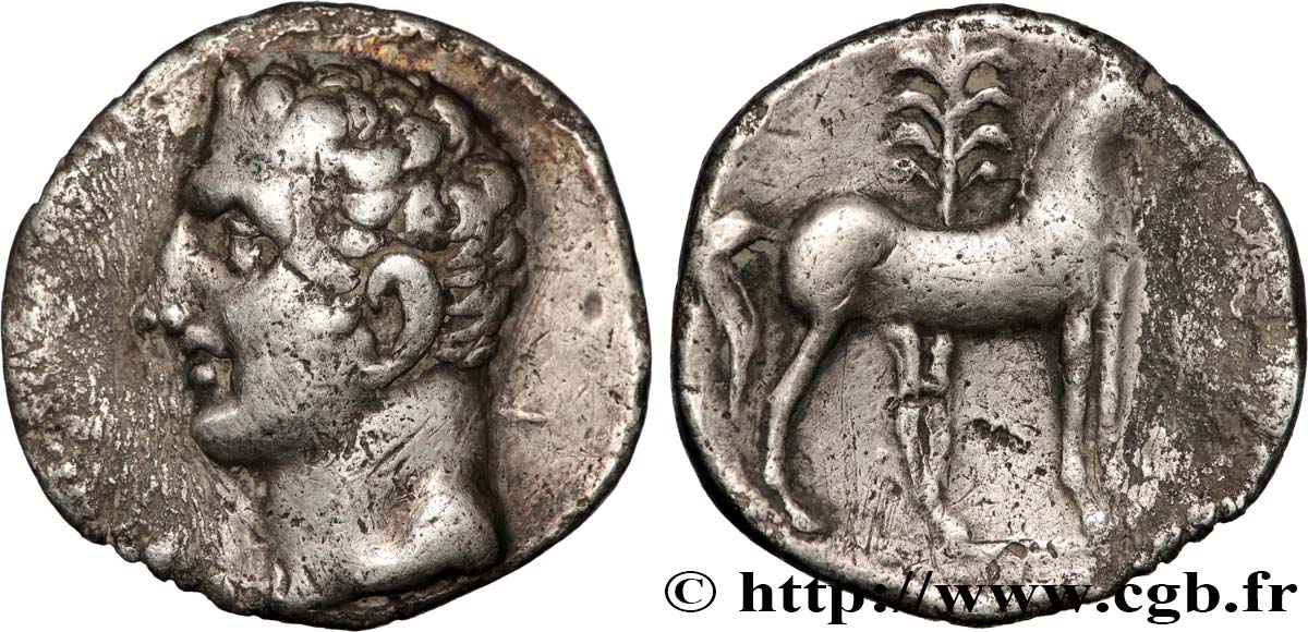 SPAGNA - HISPANO-PUNICHE - CARTHAGO NOVA Shekel BB