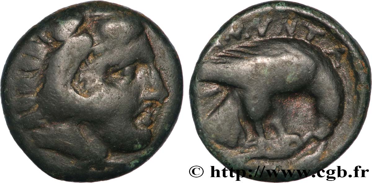 MACEDONIA - KINGDOM OF MACEDONIA - AMYNTAS III Unité VF