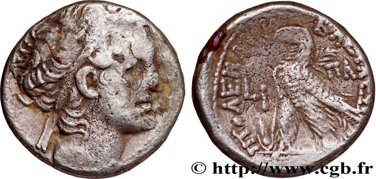 EGYPT - LAGID OR PTOLEMAIC KINGDOM - PTOLEMY IX SOTER II AND CLEOPATRA III Tétradrachme XF