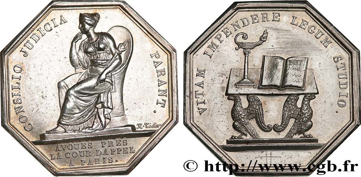 DROIT ET JURIDIQUE AVOUES PRES LA COUR D&nbsp;APPEL A PARIS AU