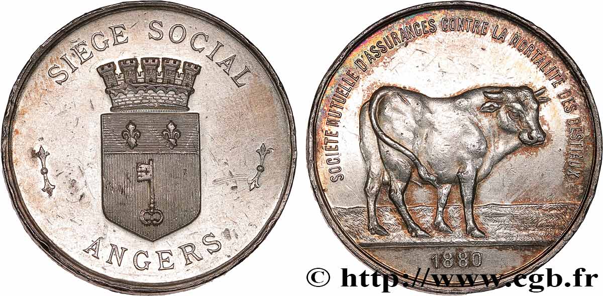 ASSURANCES La Société mutuelle d’assurances contre la mortalité des bestiaux TTB+