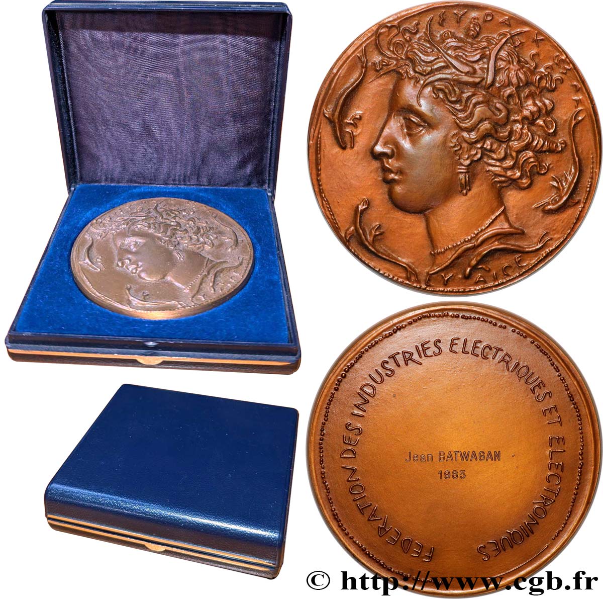 CINQUIÈME RÉPUBLIQUE Médaille, Fédération des Industries Électriques TTB+