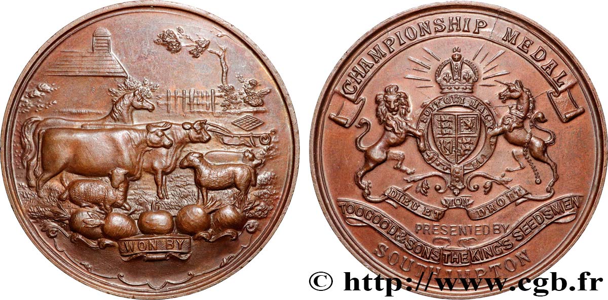 ROYAUME-UNI Médaille, Championship medal SUP