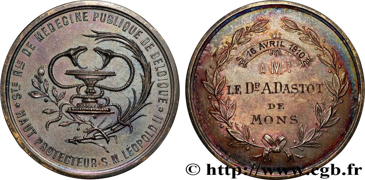 BELGIUM - KINGDOM OF BELGIUM - ALBERT I Médaille, Société Rurale de médecine publique de Belgique AU