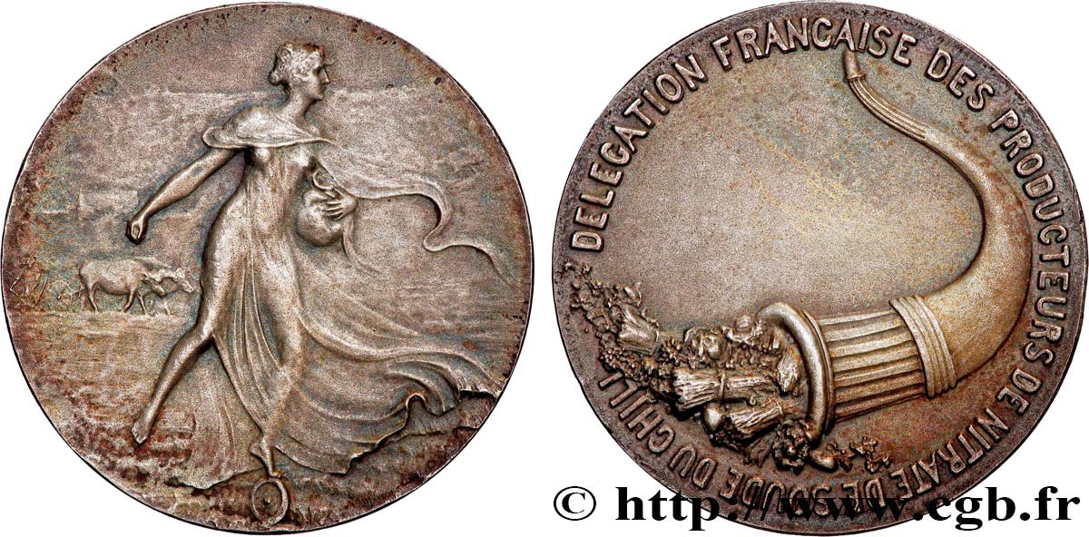 MINES ET FORGES Médaille, Délégation française des producteurs de nitrate de soude du Chili