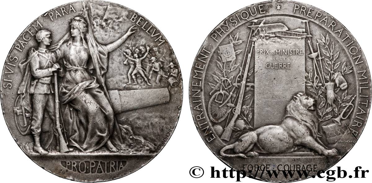 TROISIÈME RÉPUBLIQUE Médaille PRO PATRIA - Préparation militaire TTB
