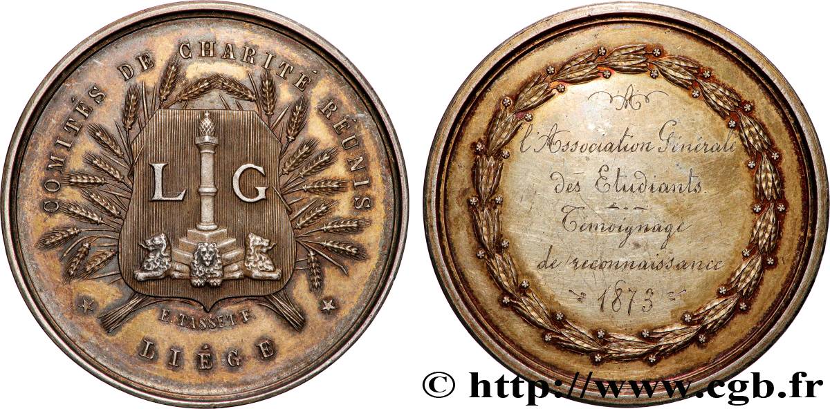 BELGIQUE - ROYAUME DE BELGIQUE - LÉOPOLD II Médaille, Comités de charité réunis TTB+