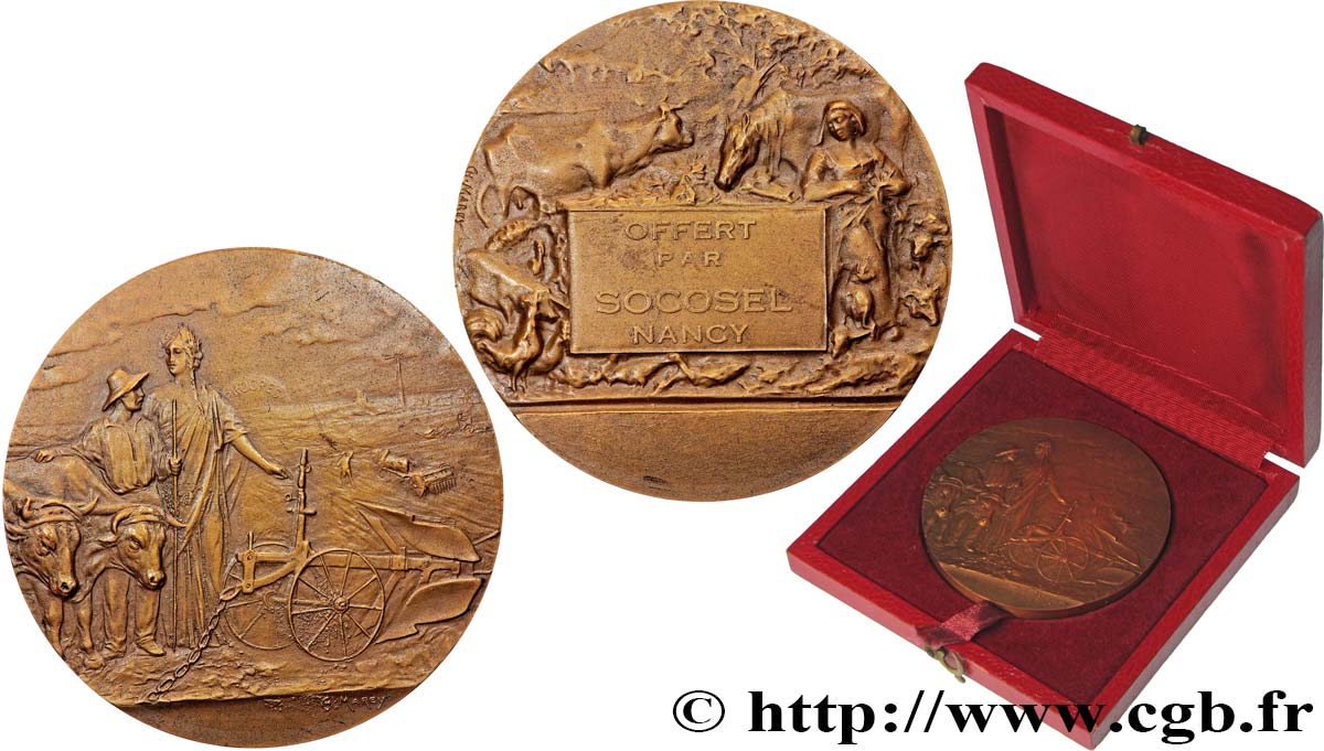 SOCIÉTÉS D&nbsp;AGRICULTURE, HORTICULTURE, PÊCHE ET CHASSE Médaille, offerte par la société SOCOSEL de Nancy SUP/TTB+