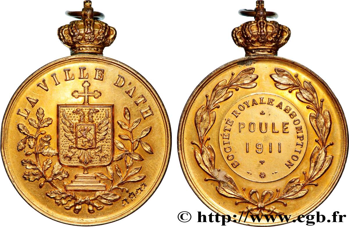 BELGIQUE - ROYAUME DE BELGIQUE - ALBERT Ier Médaille, Société royale assomption TTB+