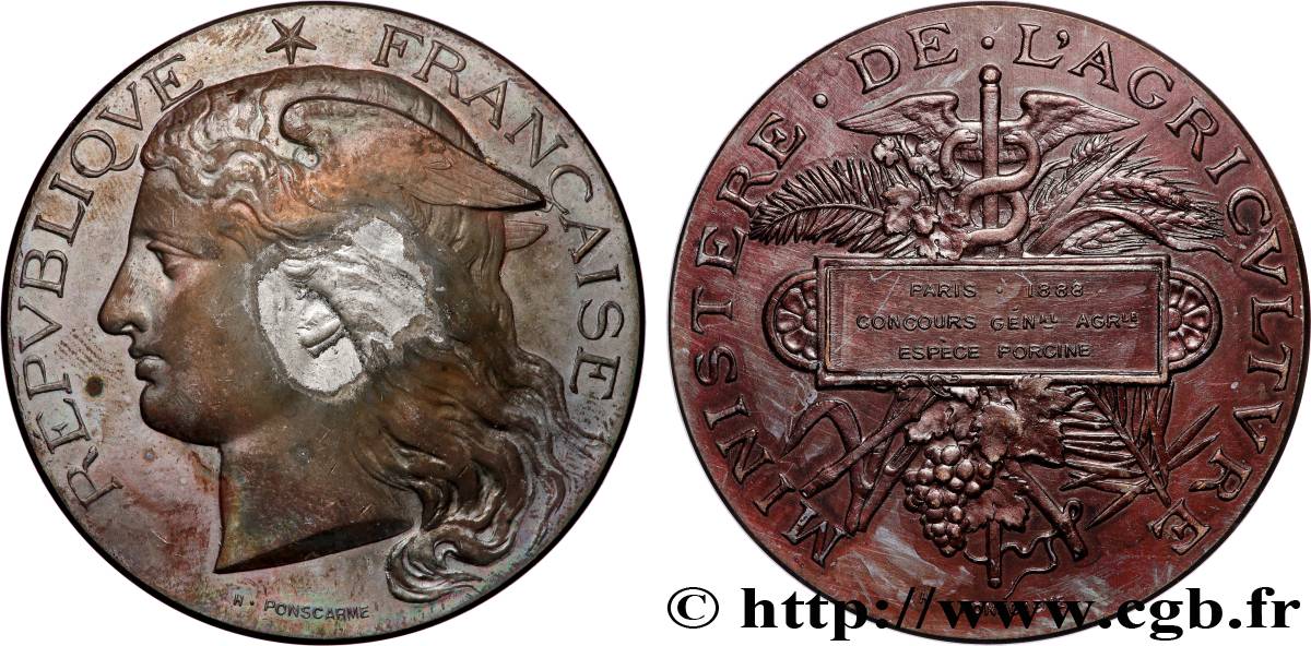 TROISIÈME RÉPUBLIQUE Médaille, Concours général agricole, espèce porcine TB+