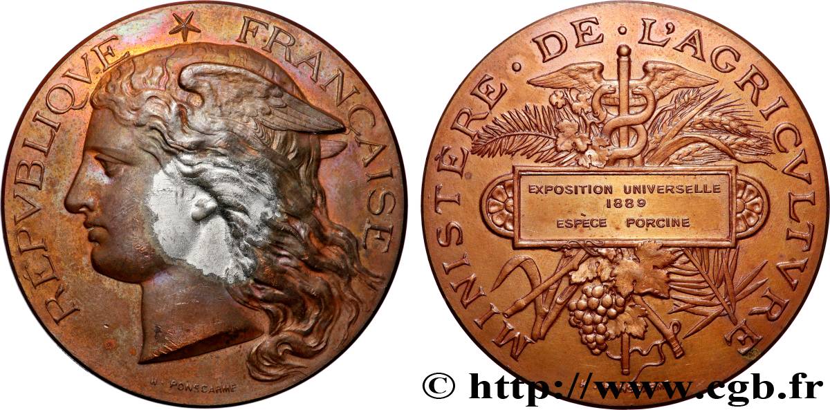 TROISIÈME RÉPUBLIQUE Médaille, Exposition universelle, espèce porcine  TB+/TTB