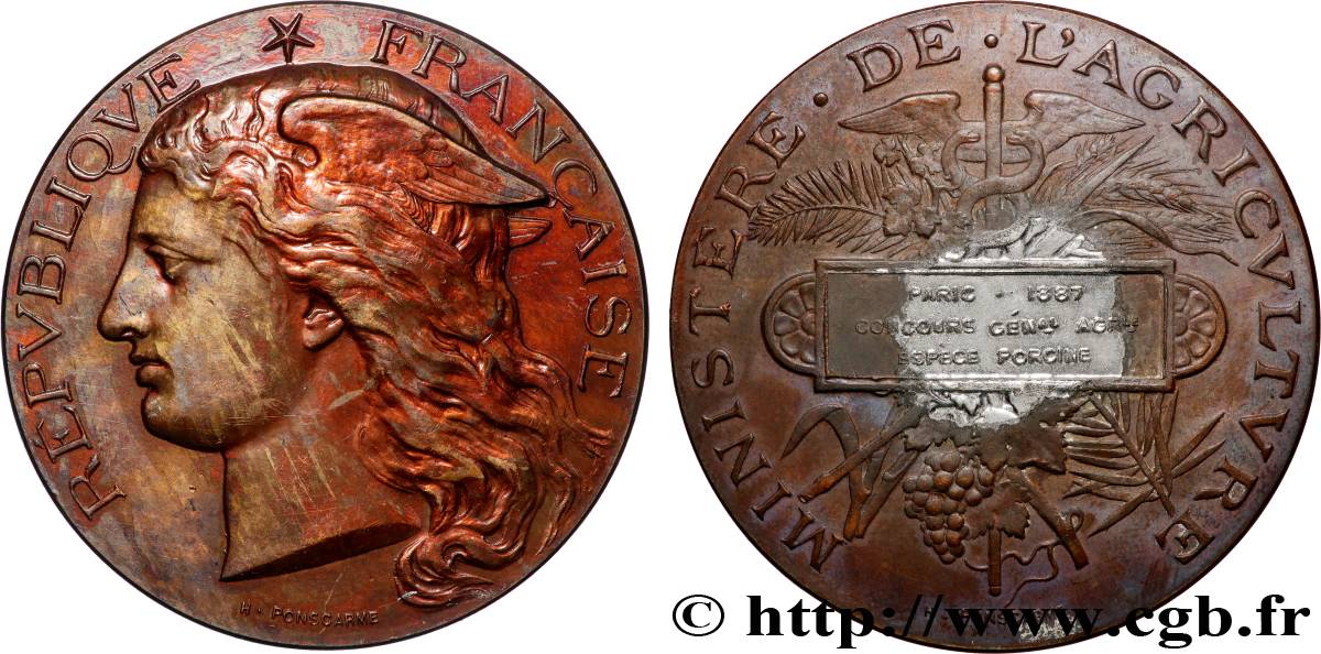 TROISIÈME RÉPUBLIQUE Médaille, Concours général agricole, espèce porcine TTB