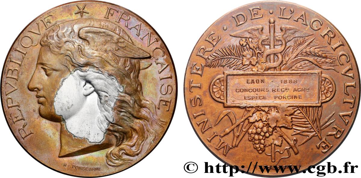 TROISIÈME RÉPUBLIQUE Médaille, Concours régional agricole, espèce porcine  TTB