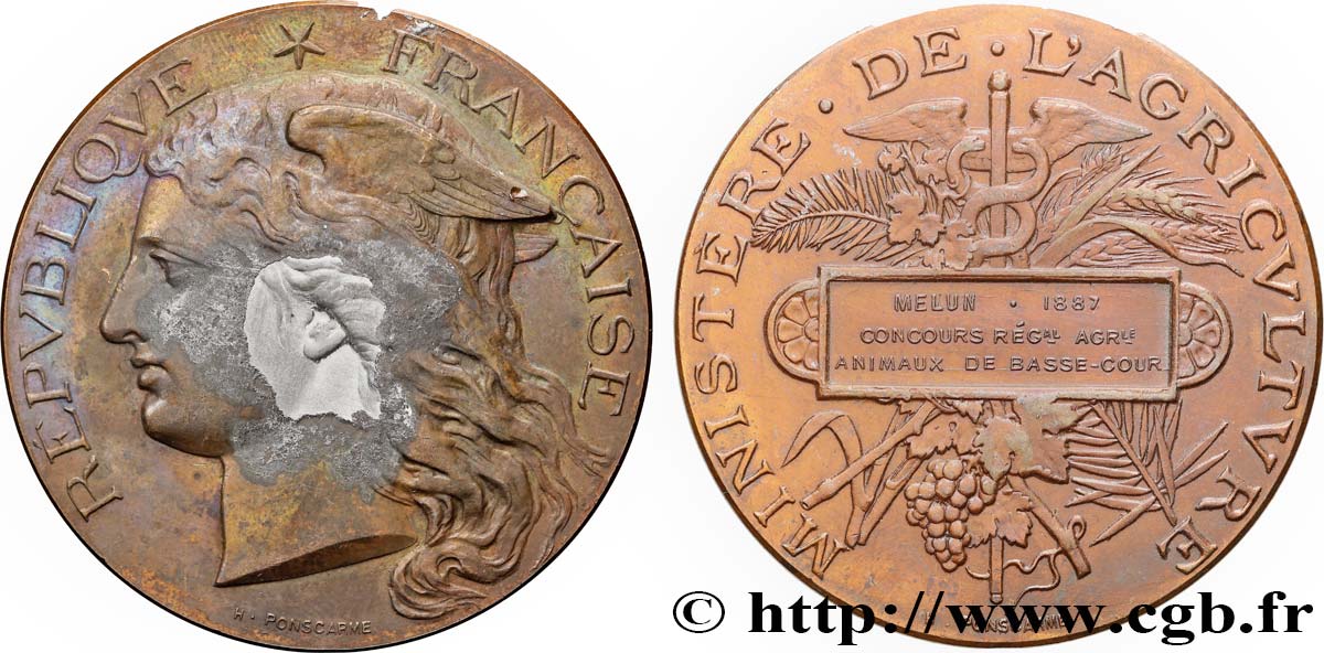 III REPUBLIC Médaille, Concours régional agricole, animaux de basse-cour XF/AU