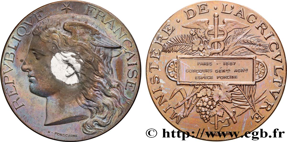 TROISIÈME RÉPUBLIQUE Médaille, Concours général agricole, espèce porcine TTB/TTB+
