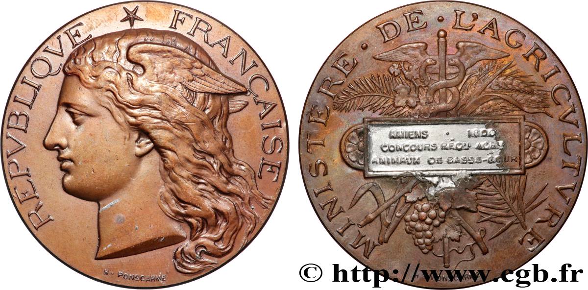 TROISIÈME RÉPUBLIQUE Médaille, Concours régional d’agriculture, animaux de basse-cour   TB+/TTB