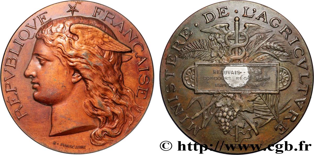 TROISIÈME RÉPUBLIQUE Médaille,Concours régional agricole, espèce bovine TTB+/TTB