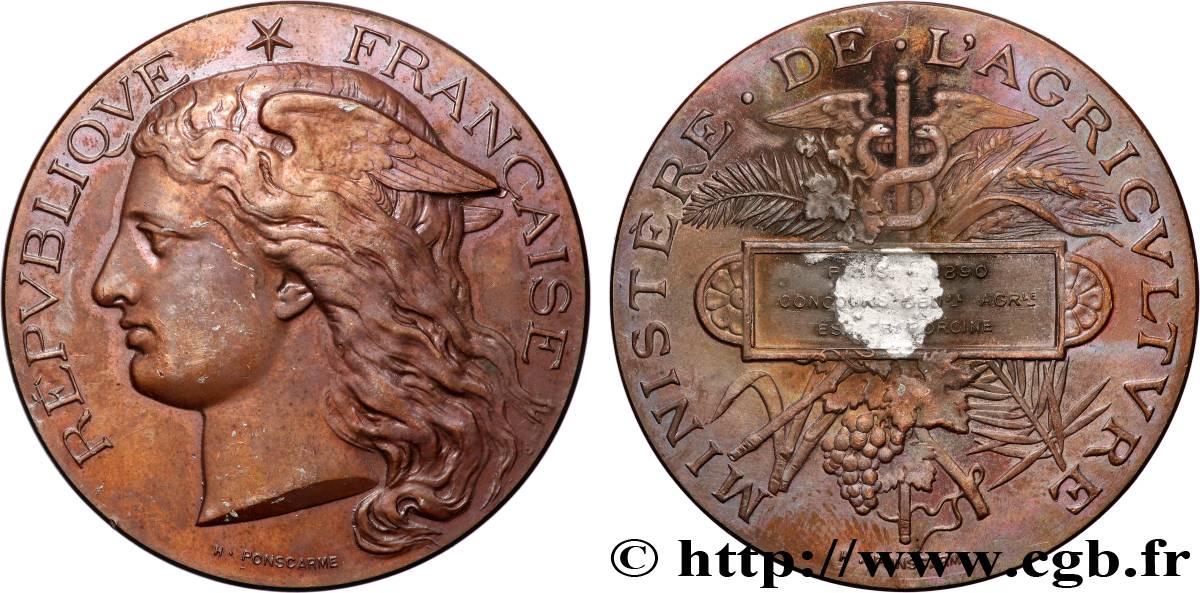 III REPUBLIC Médaille, Concours général agricole, espèce porcine AU/XF