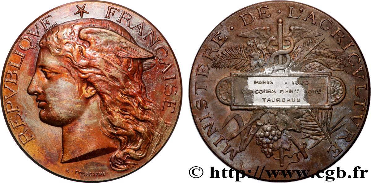 III REPUBLIC Médaille, Concours général agricole, taureaux AU/XF