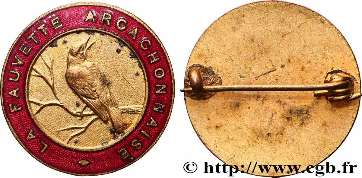 ANIMALS Insigne, La Fauvette arcachonnaise q.SPL