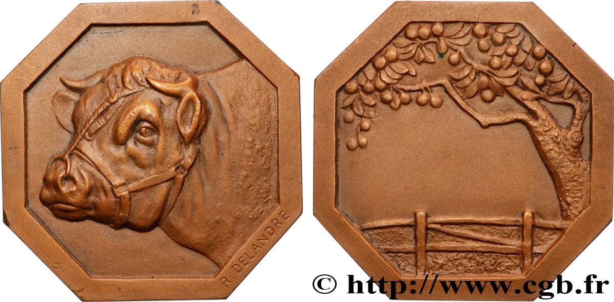 III REPUBLIC Médaille, Tête de taureau AU