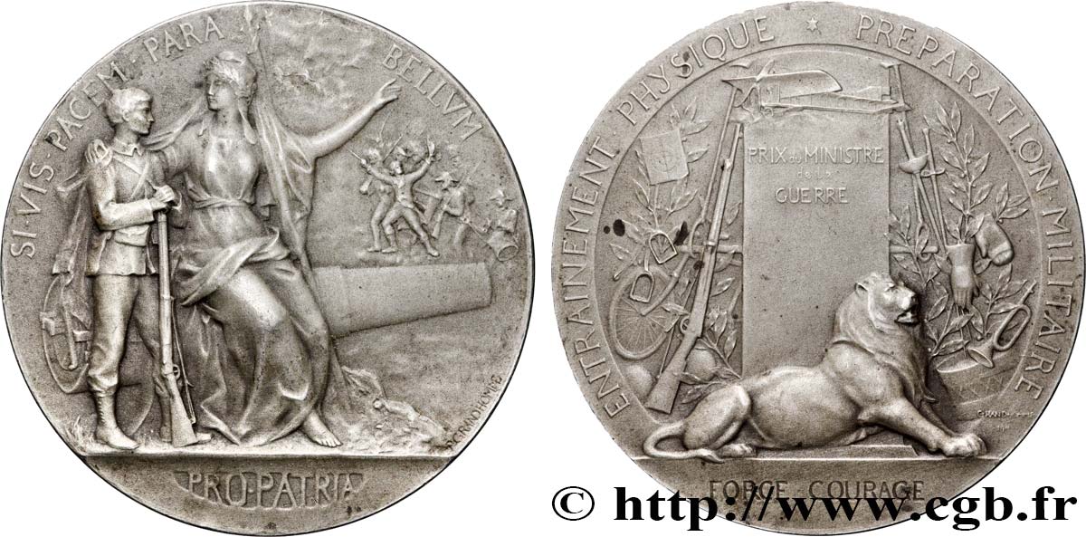TROISIÈME RÉPUBLIQUE Médaille PRO PATRIA - Préparation militaire TTB+