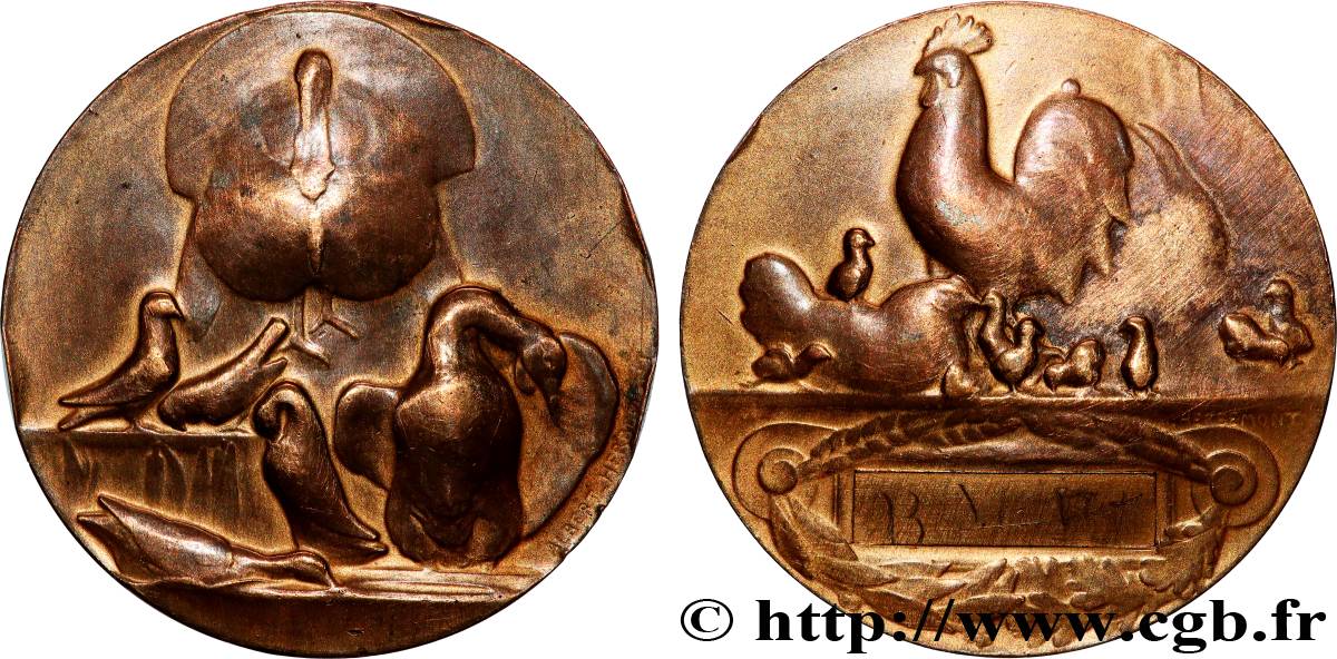 SOCIÉTÉS D&nbsp;AGRICULTURE, HORTICULTURE, PÊCHE ET CHASSE Médaille, Volailles TB+