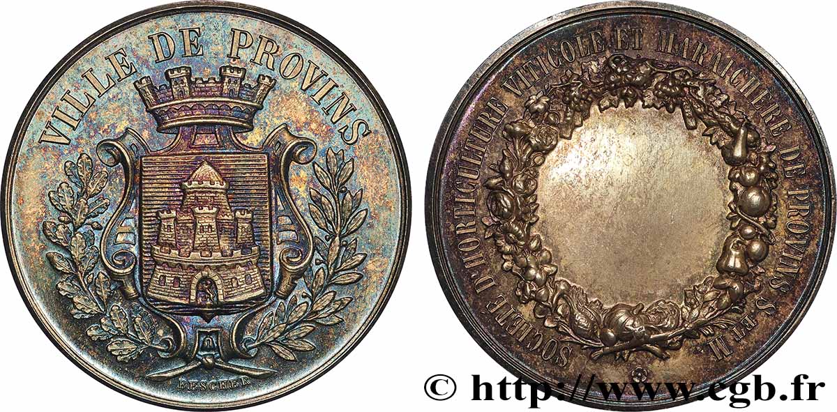 SOCIÉTÉS D&nbsp;AGRICULTURE, HORTICULTURE, PÊCHE ET CHASSE Médaille, Société d’horticulture viticole et maraîchère SUP