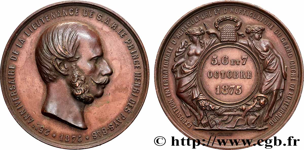 LUXEMBOURG Médaille, Exposition Internationale d’agriculture et d’horticulture du Grand-duché de Luxembourg, 25e anniversaire de la lieutenance de son Altesse TTB+
