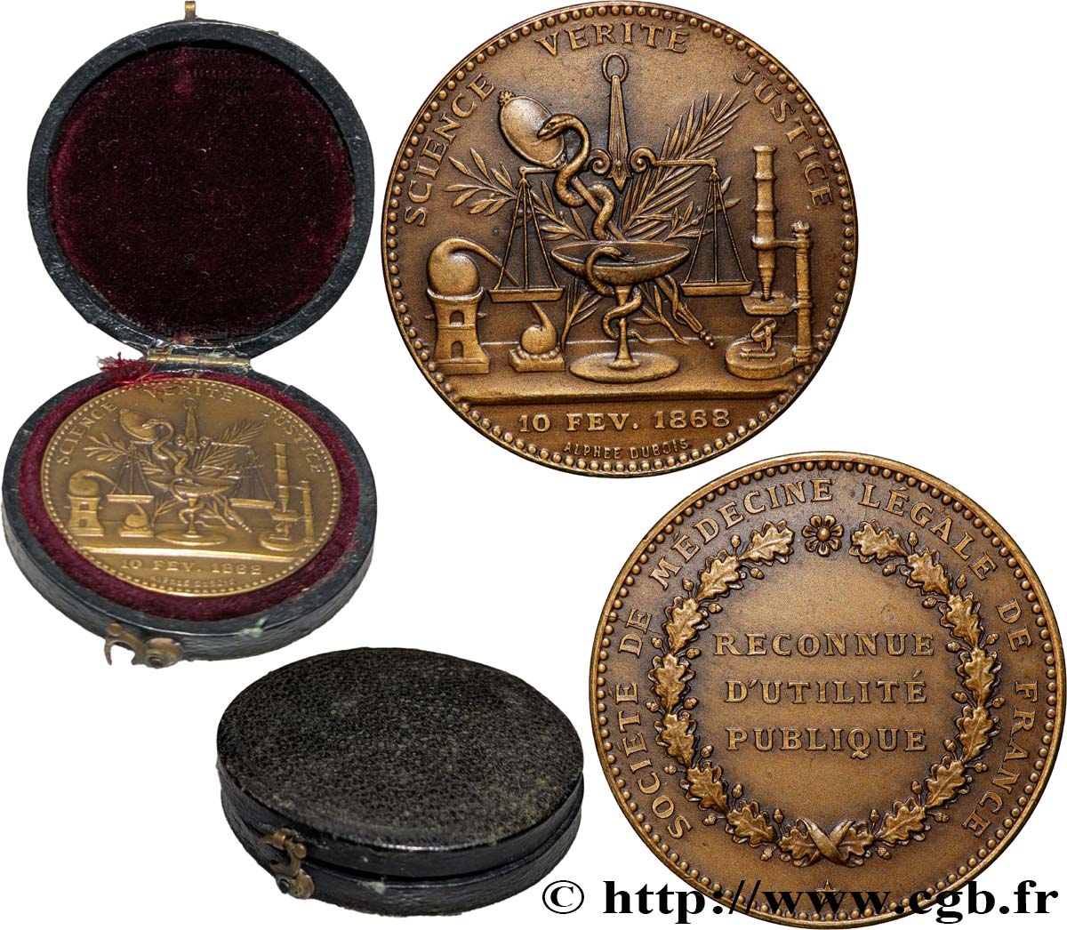 MÉDECINE - SOCIÉTÉS MÉDICALES - MÉDECINS/CHIRURGIENS - ASSISTANCE PUBLIQUE Médaille, Société de médecine légale TTB+